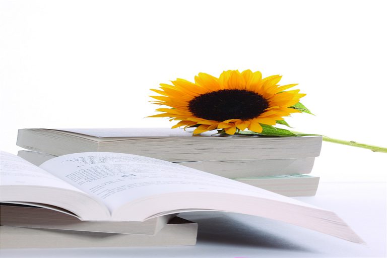 راهنمای کامل برای تمیز کردن سینک ظرفشویی با بهترین روش ها