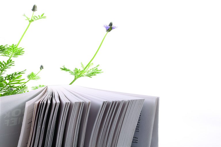 بررسی کامل لوازم برقی پرکاربرد در خانه و منزل